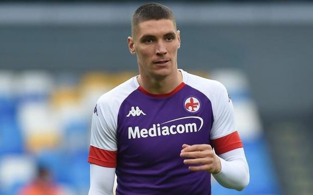 详细研究了 详细研究了